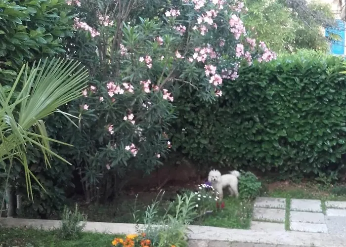 Sunshine Mary דירה אופטיה